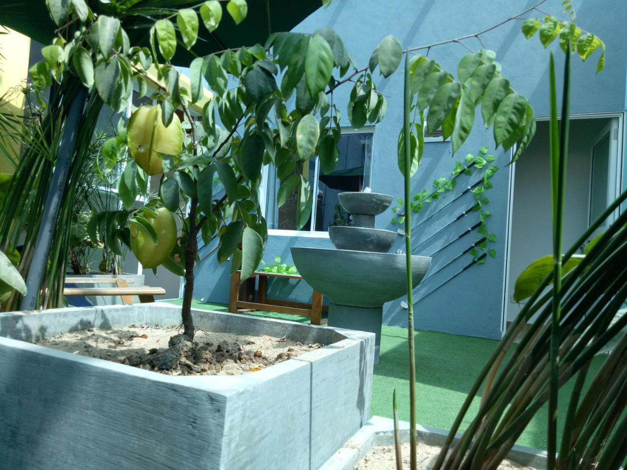 This Is It Airport Hotel And Restaurant 尼甘布 外观 照片
